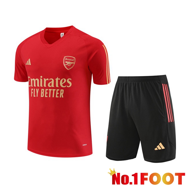 Arsenal Training T Shirt + Shorts Red 2023/2024