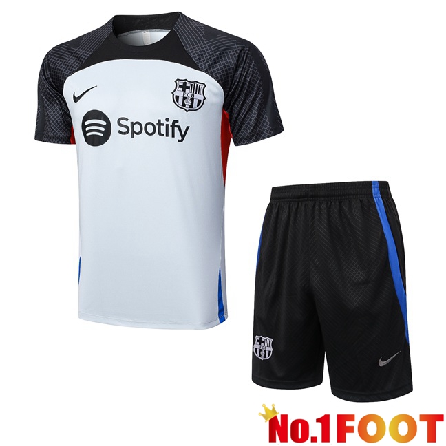 FC Barcelona Training T Shirt + Shorts Grey 2023/2024