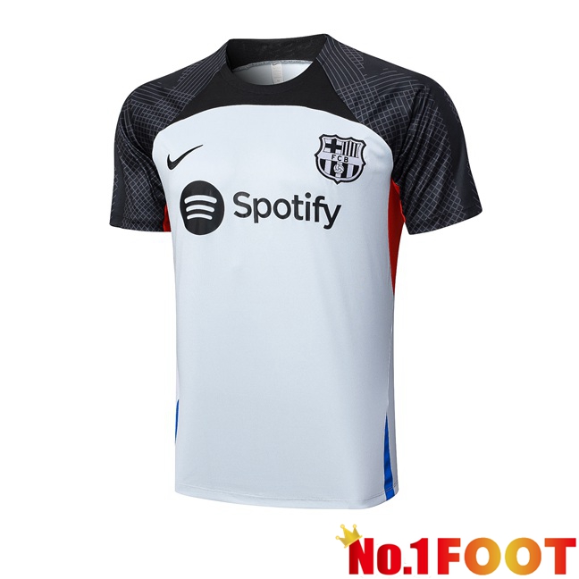 FC Barcelona Training T Shirt Grey 2023/2024