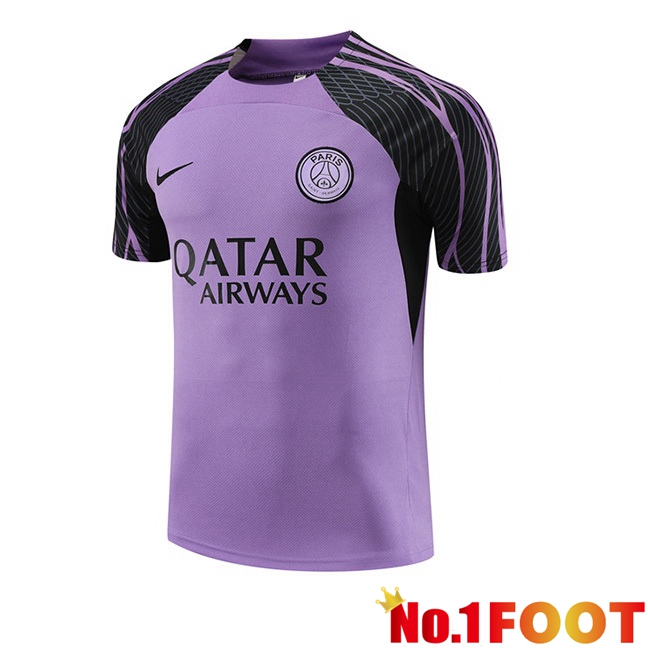 Paris PSG Training T Shirt Purple 2023/2024