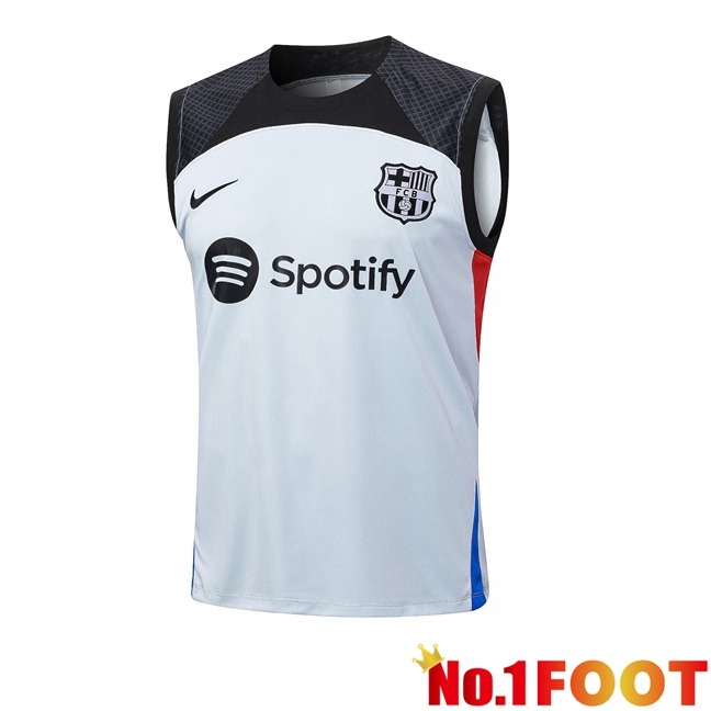 FC Barcelona Soccer Vest Grey 2023/2024