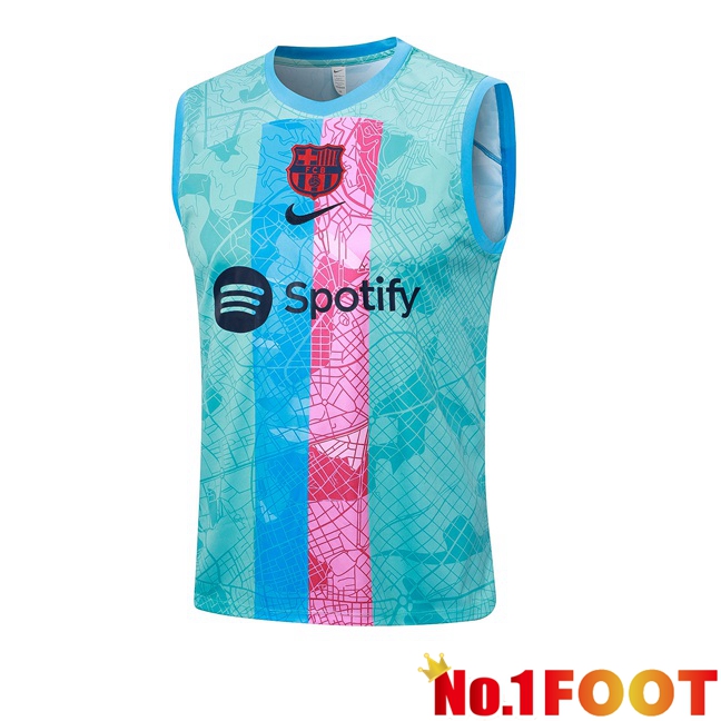 FC Barcelona Soccer Vest Green 2023/2024