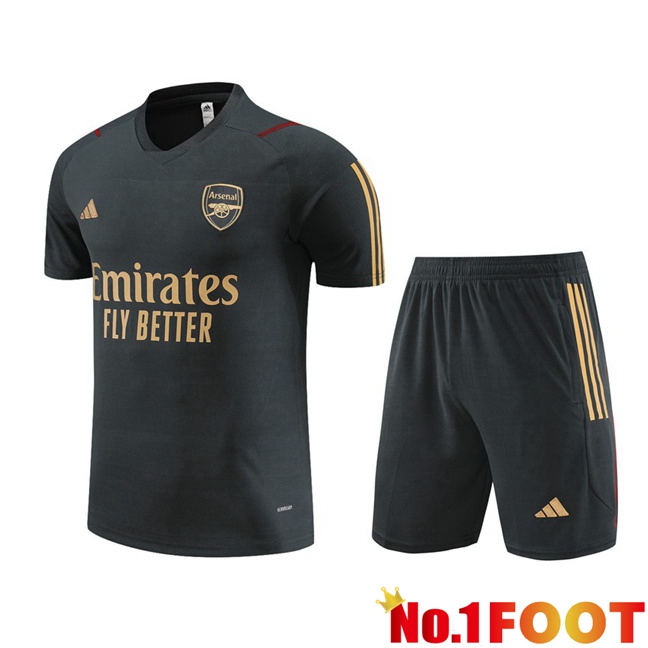 Arsenal Training T Shirt + Shorts Grey 2023/2024