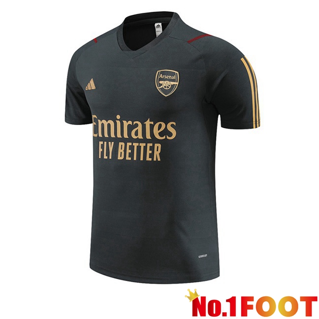 Arsenal Training T Shirt Grey 2023/2024