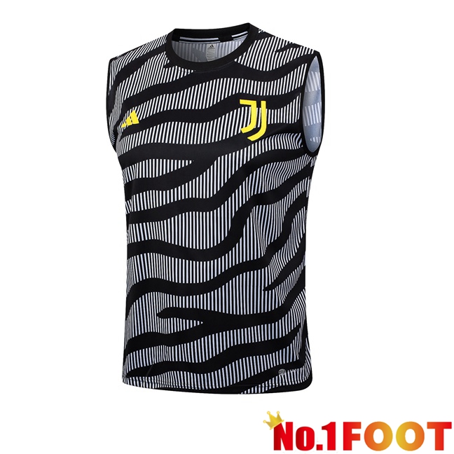 Juventus Soccer Vest Grey 2023/2024