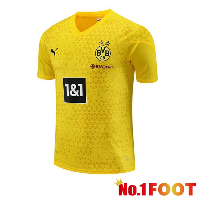 Dortmund BVB Training T Shirt Yellow 2023/2024