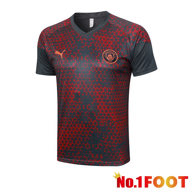 Manchester City Training T Shirt Red Grey 2023/2024