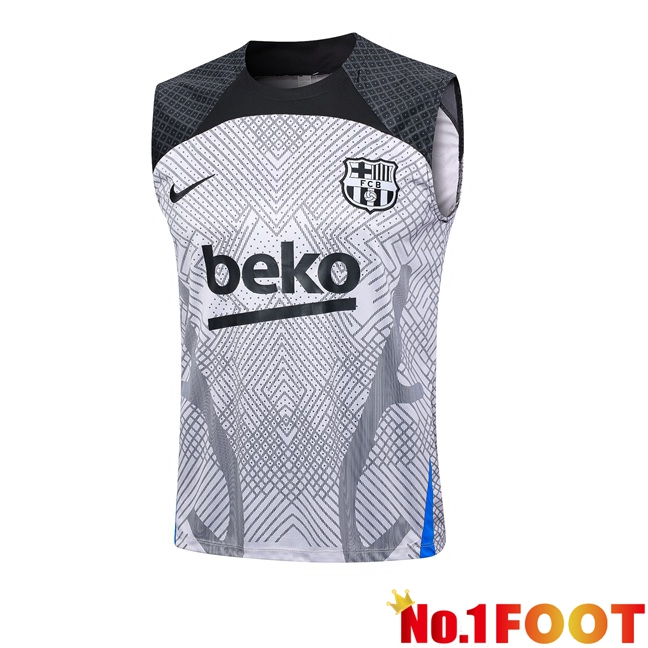 FC Barcelona Soccer Vest Grey 2023/2024