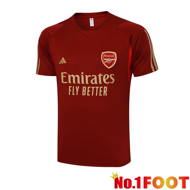 Arsenal Training T Shirt Red 2023/2024