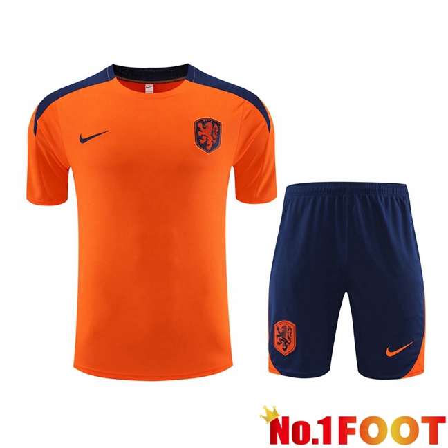 Netherlands Training T Shirt + Shorts Orange 2023/2024