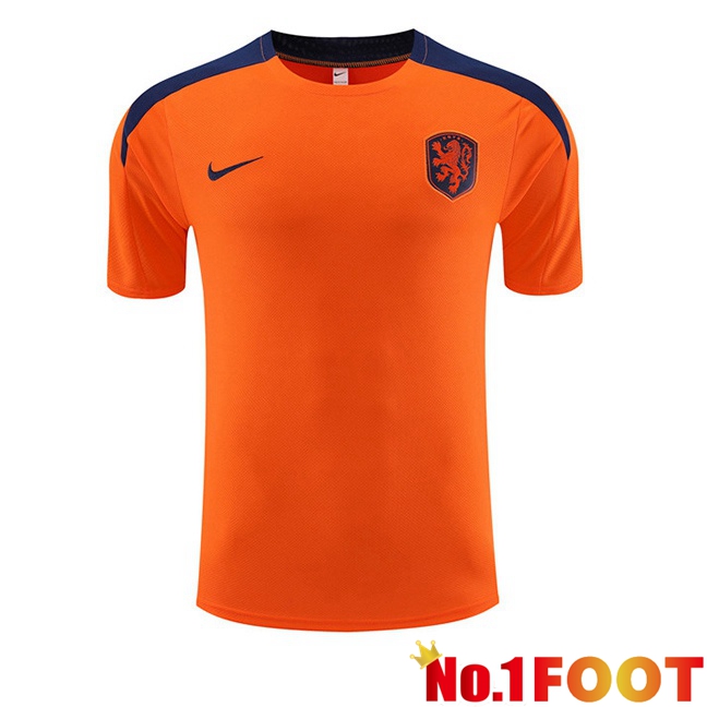 Netherlands Training T Shirt Orange 2023/2024