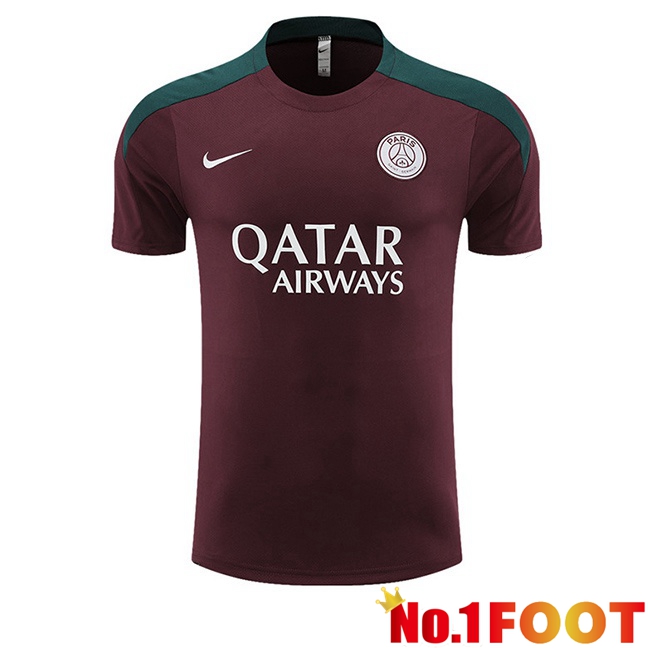 Paris PSG Training T Shirt Red 2023/2024