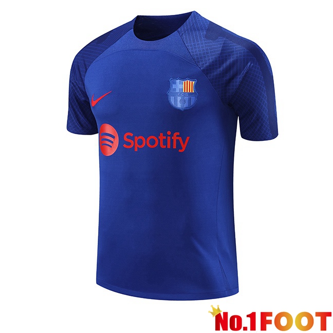 FC Barcelona Training T Shirt Blue Royal 2023/2024