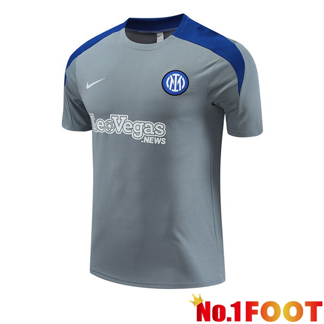 Inter Milan Training T Shirt Grey 2024/2025