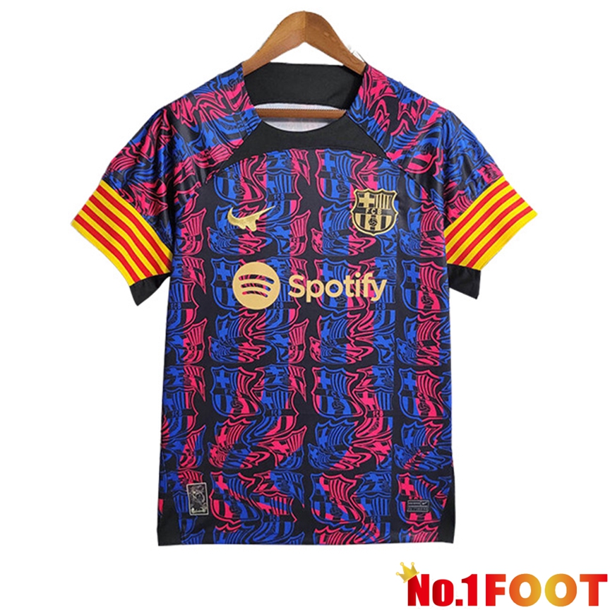 FC Barcelona Soccer Jersey 2 Special Edition 2023/2024