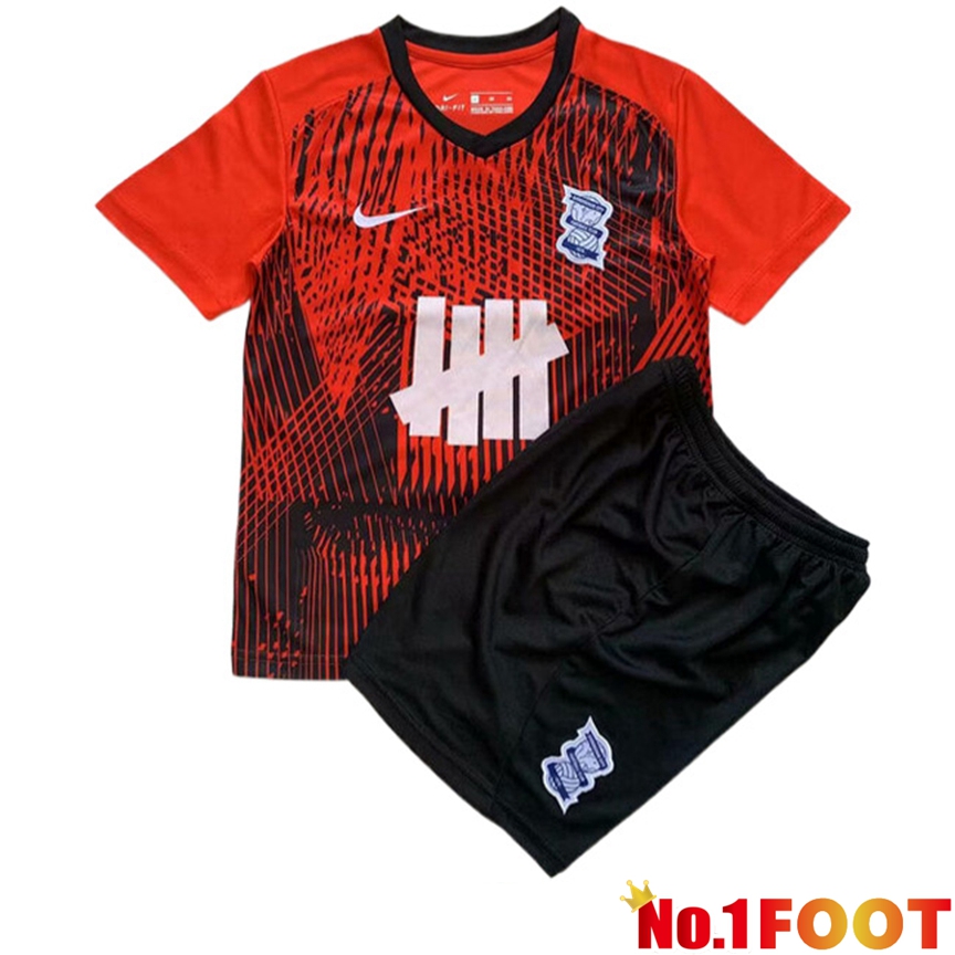 Birmingham City Kids Soccer Jersey Away 2023/2024