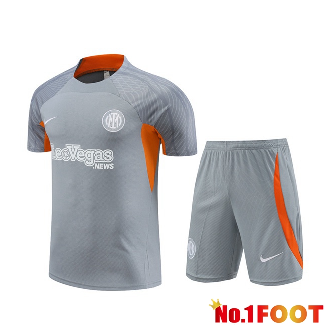 Inter Milan kit Training T Shirt + Shorts Grey 2024/2025