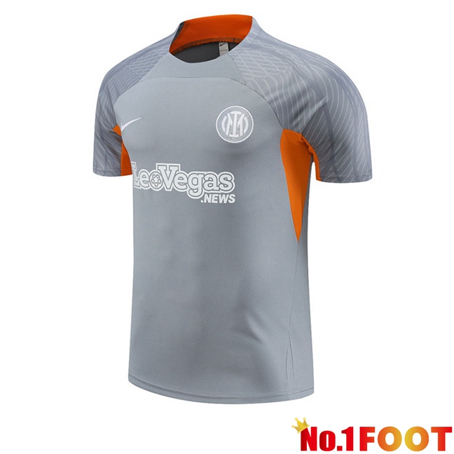 Inter Milan Training T Shirt Grey 2024/2025