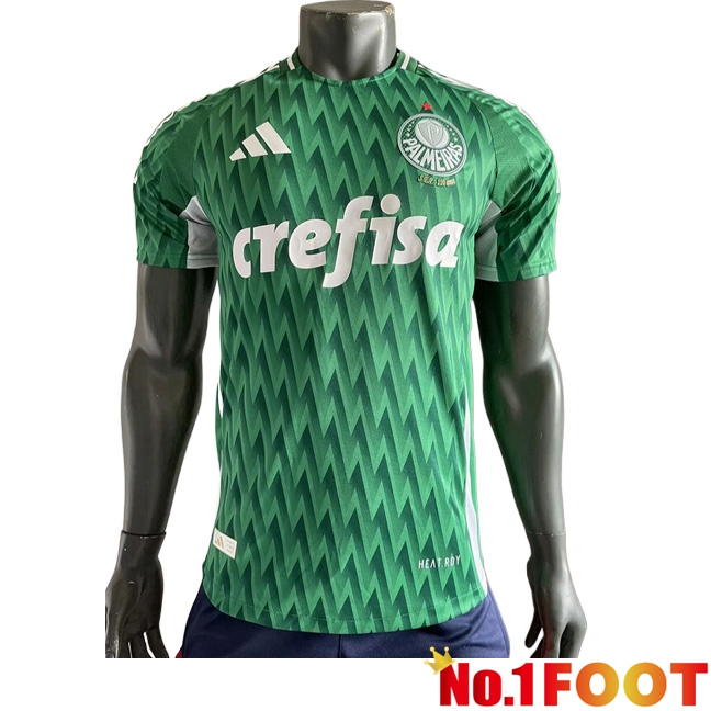 Palmeiras Soccer Jersey Special Edition Green 2024/2025