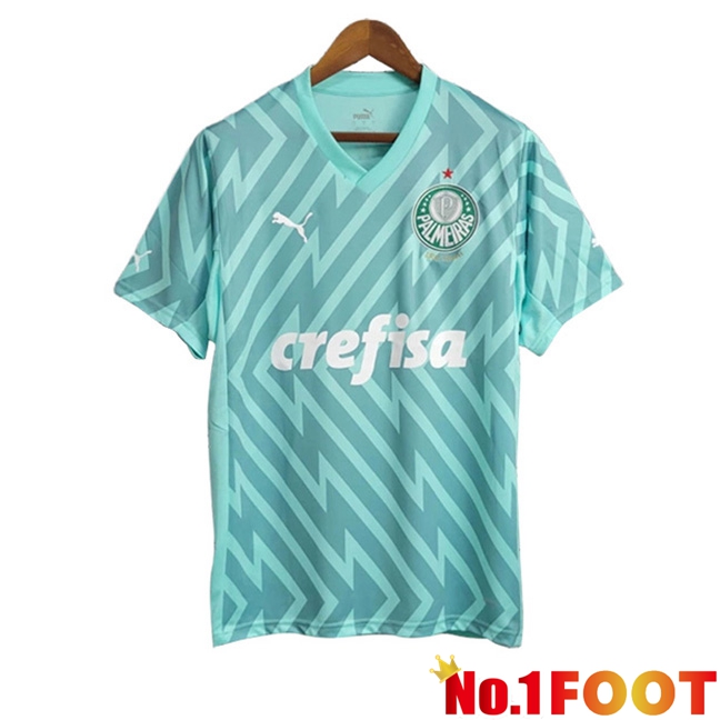 Palmeiras Goalkeeper Soccer Jersey Green 2024/2025