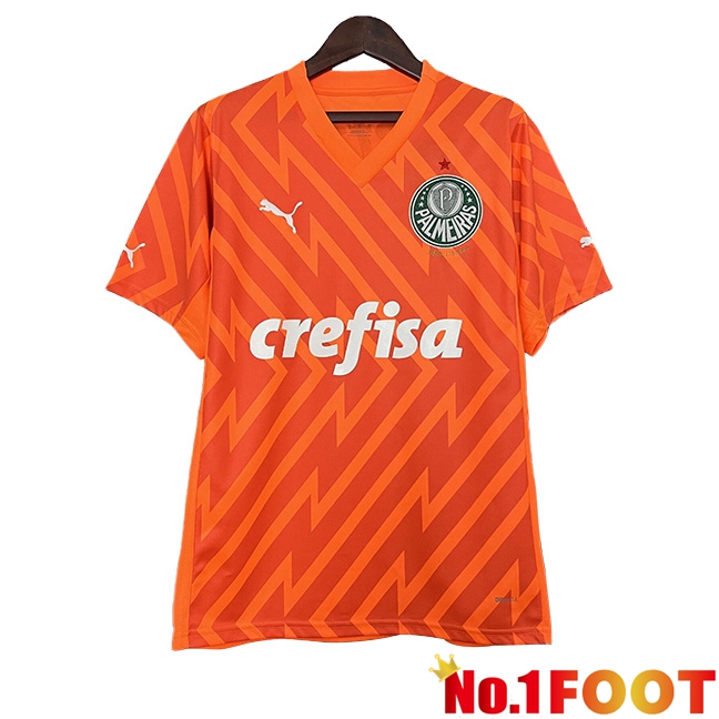 Palmeiras Goalkeeper Soccer Jersey Orange 2024/2025