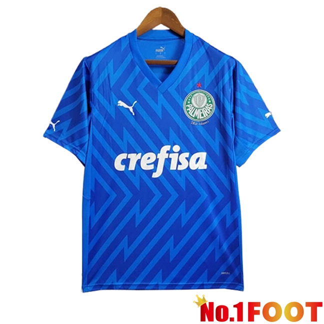 Palmeiras Goalkeeper Soccer Jersey Blue 2024/2025