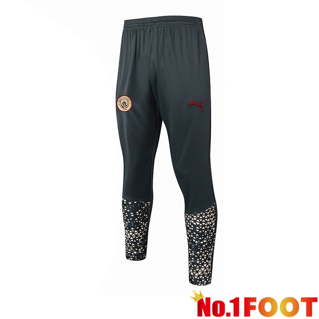 Manchester City Training Pants Grey 2024/2025