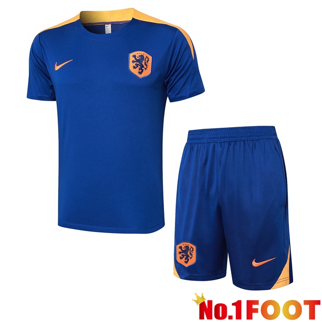 Netherlands kit Training T Shirt + Shorts Blue Royal 2024/2025