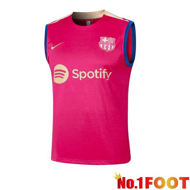 FC Barcelona Soccer Vest Pink 2024/2025