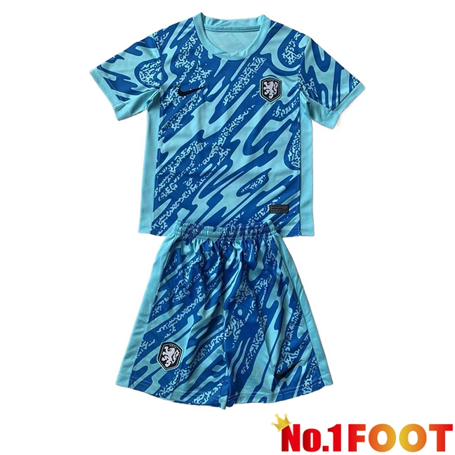 Netherlands Kids Goalkeeper Soccer Jersey Light Blue UEFA Euro 2024