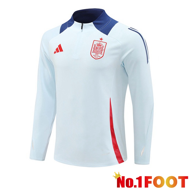 Spain Training Sweatshirt Grey 2024/2025