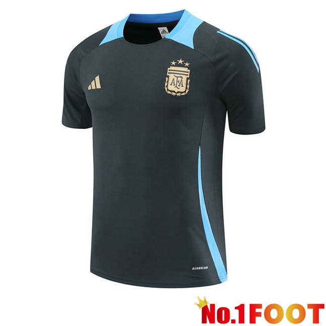 Argentina Training T Shirt Grey 2024/2025