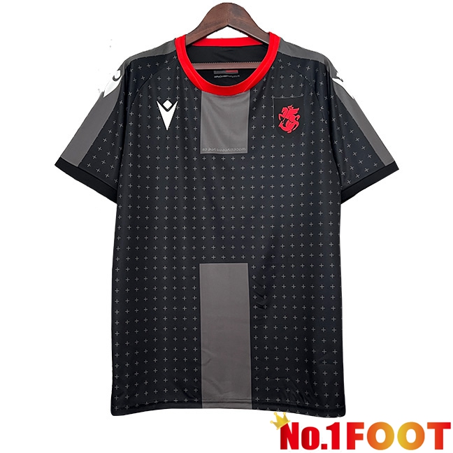 Georgia Away Soccer Jersey 2024/2025