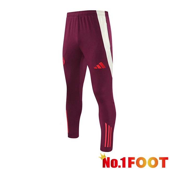 Bayern Munich Training Pants Red 2024/2025