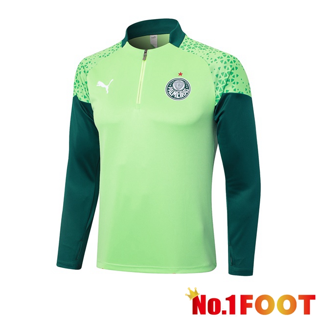 Palmeiras Training Sweatshirt Green 2024/2025