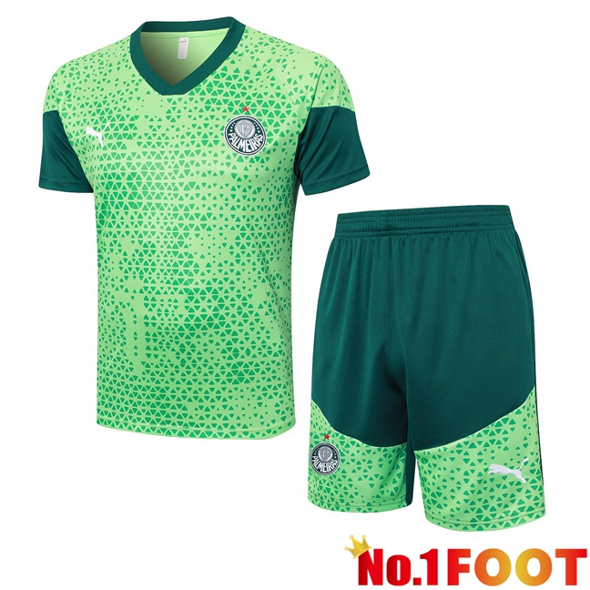 Palmeiras kit Training T Shirt + Shorts Green 2024/2025