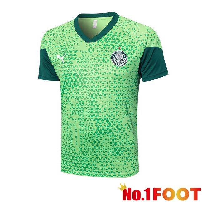 Palmeiras Training T Shirt Green 2024/2025