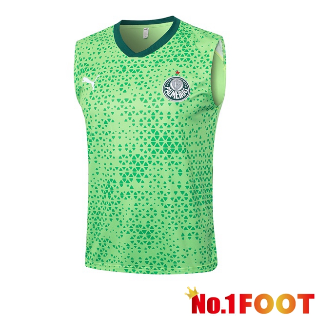 Palmeiras Soccer Vest Green 2024/2025