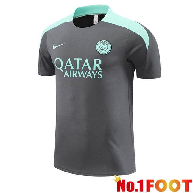 Paris PSG Training T Shirt Grey 2024/2025