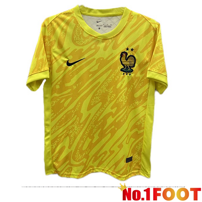 France Goalkeeper Soccer Jersey Yellow 2024/2025