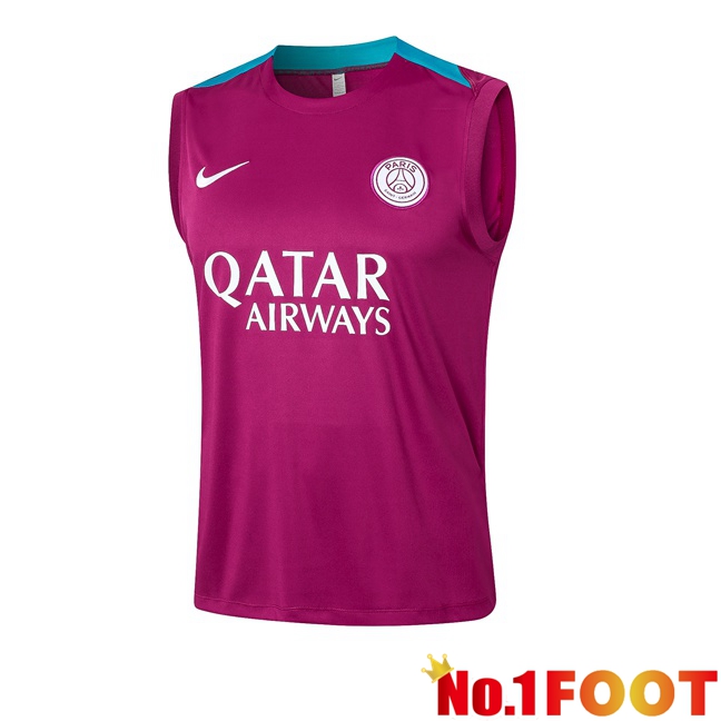 Paris PSG Soccer Vest Purple 2024/2025