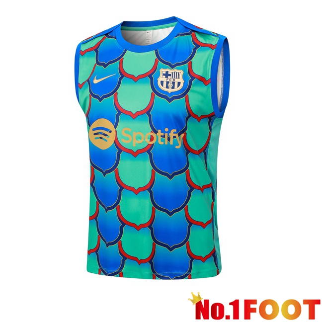 FC Barcelona Soccer Vest Green Blue 2024/2025