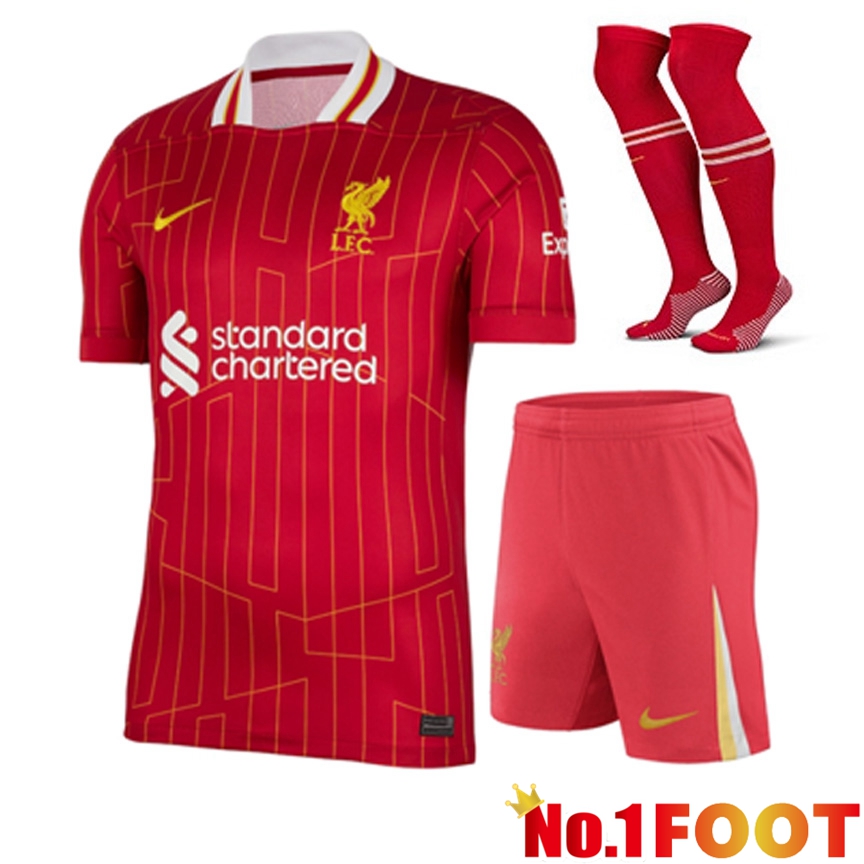 FC Liverpool Away kit Soccer Jersey (Shorts + Socks) 2024/2025