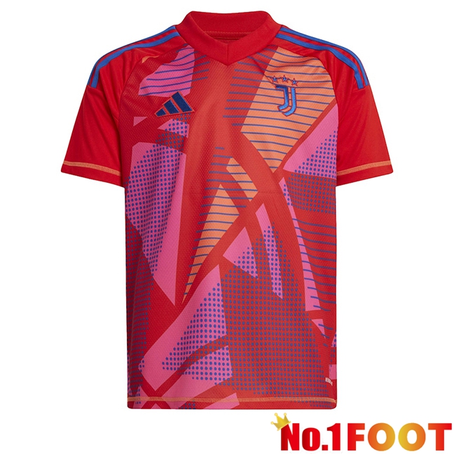 Juventus Goalkeeper Soccer Jersey Red 2024/2025