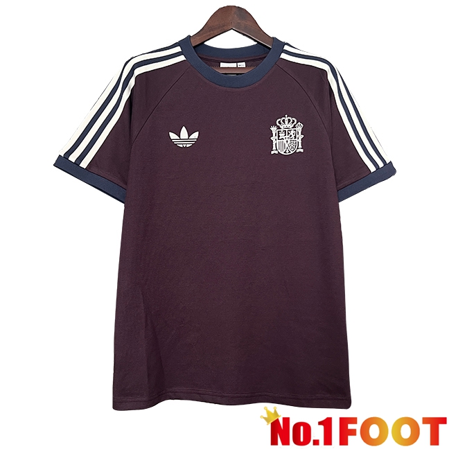 Spain Retro Soccer Jersey Special Edition Brown