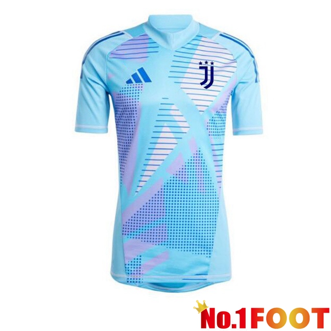 Juventus Goalkeeper Soccer Jersey Blue 2024/2025