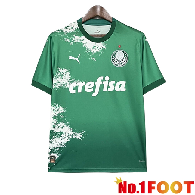 Palmeiras Soccer Jersey Special Edition Green 2024/2025