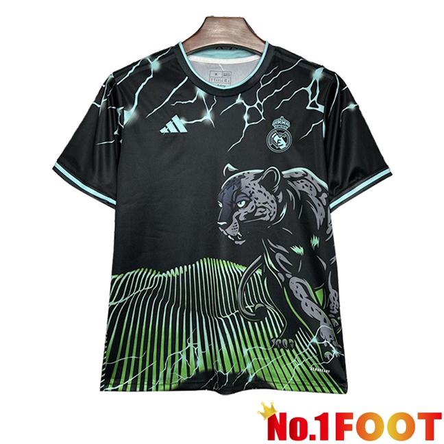 Real Madrid Soccer Jersey Special Edition Green 2024/2025