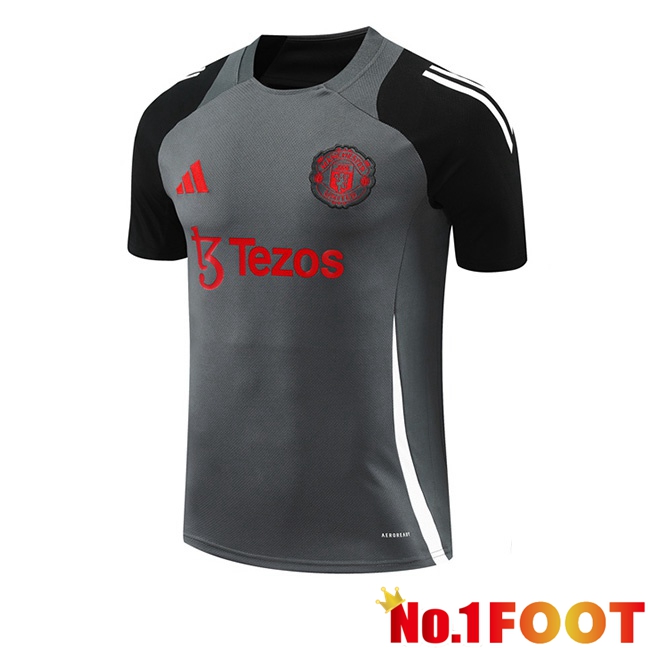 Manchester United Training T Shirt Grey 2024/2025