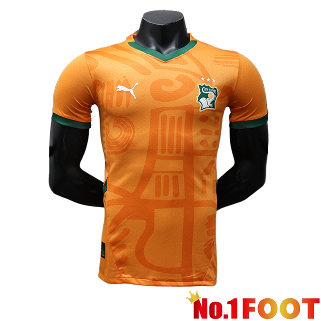 Lvory Coast Home Soccer Jersey 2024/2025